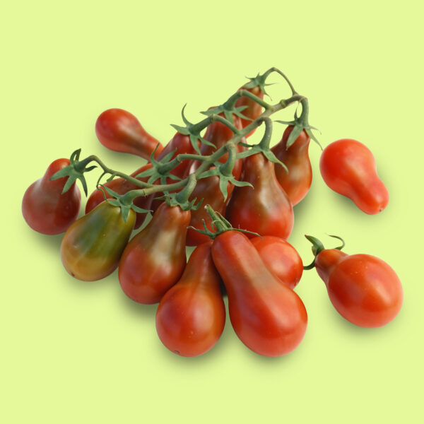 Tomate Cherry Chocolate Pear