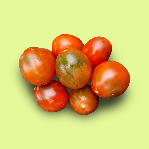 Tomate Cojón de Obispo