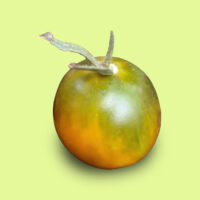 tomate-green_honey