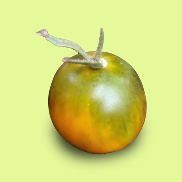 Tomate Green Honey