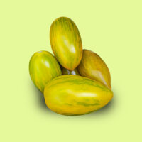 tomate-green_tiger
