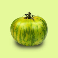 tomate-green_zebra