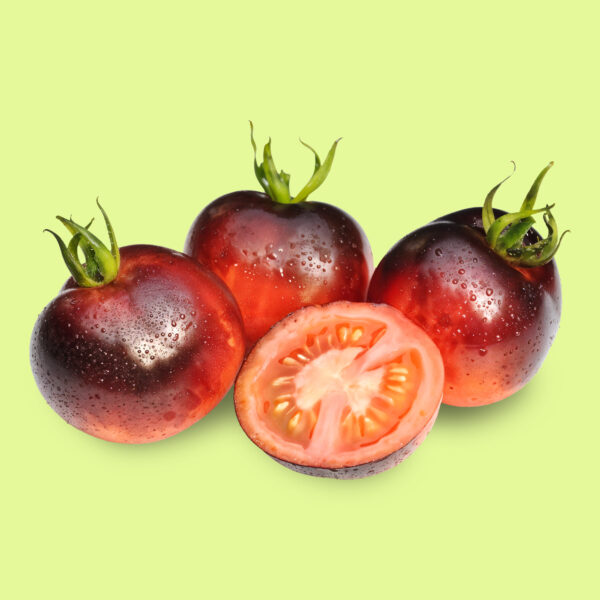 Tomate Indigo Rosé