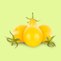 tomate-lagrima_de_oro