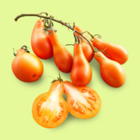 tomate-mila