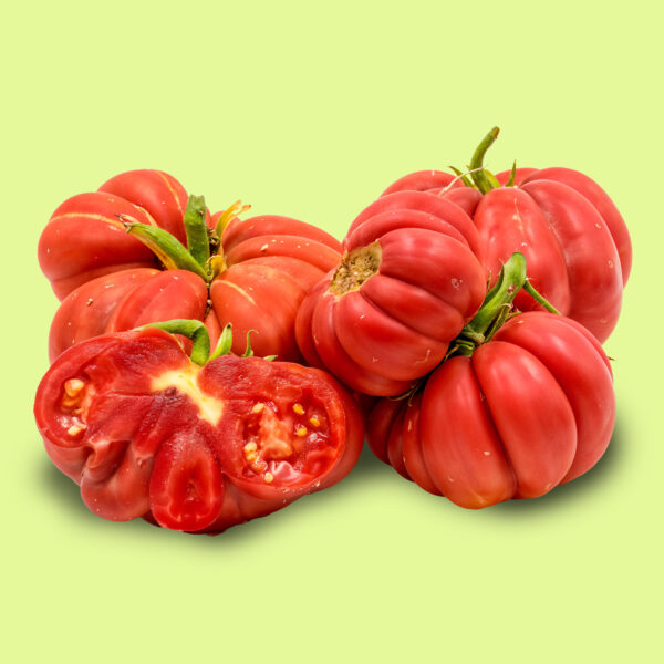 Tomate Mushroom Basket