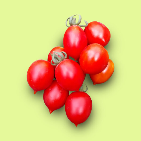 Tomate Príncipe Borghese