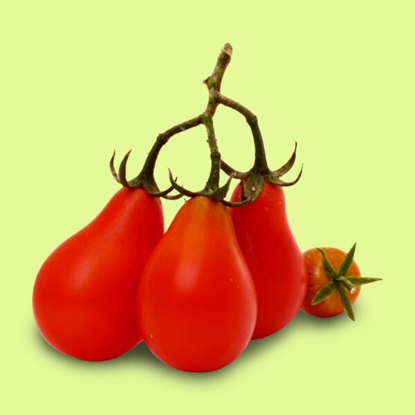 Tomate Red Pear