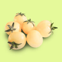 tomate-super_snow_white