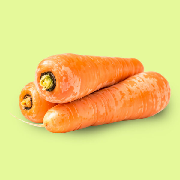 Zanahoria