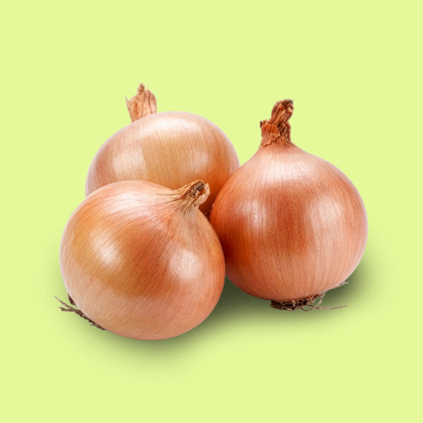 Cebolla "Valencianita - Rama Corta"