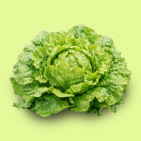 lechuga-gallega