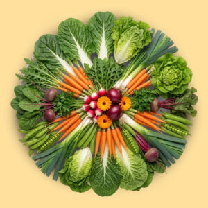 Kit Otoño-Invierno (Básico)