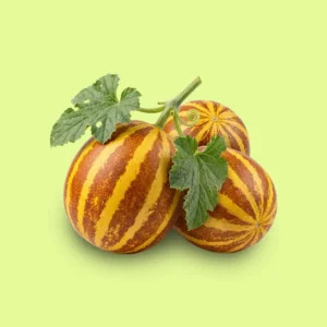 Melon Sweet Rich
