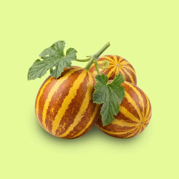 Melón Sweet Rich