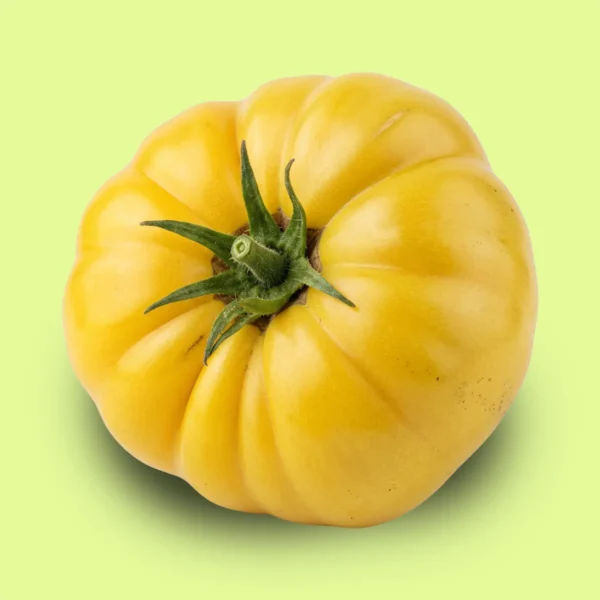Tomate Big Pineapple