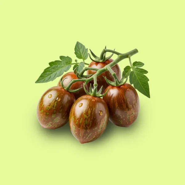 Tomate Cherry Cocktail Tigre