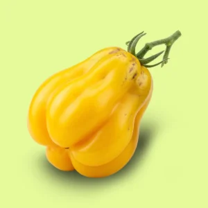 Tomate Drapeado