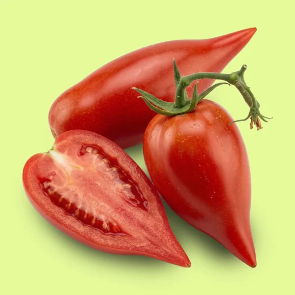 Tomate Espada de Samurai