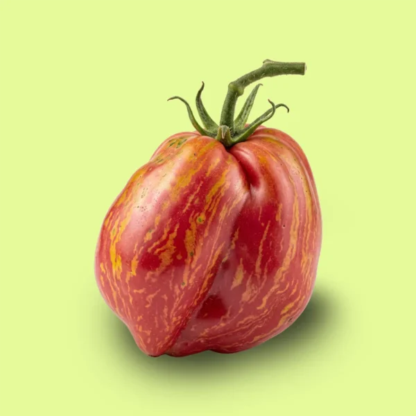 Tomate Fuego Rosa
