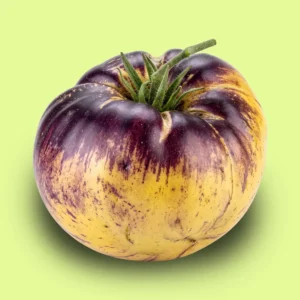 Tomate Great White Blue