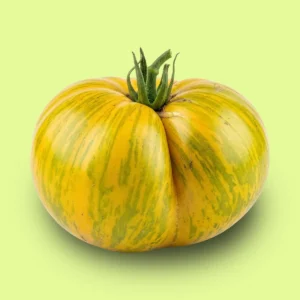 Tomate Touquet Verte