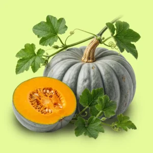 Zapallo Gris Plomo