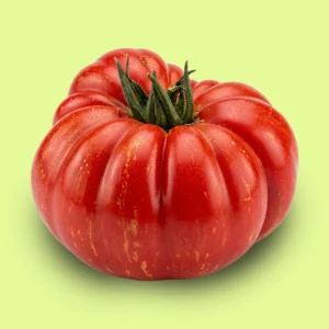 Tomate Costolutto di Parma
