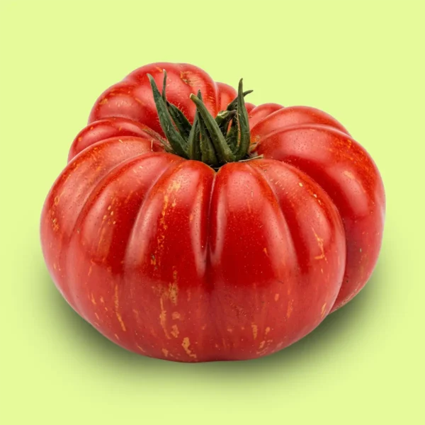 Tomate Costoluto di Parma