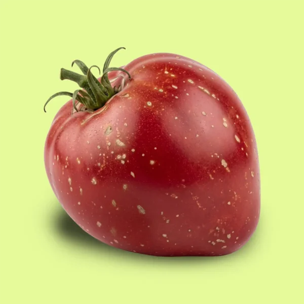 Tomate Deduschkino Bitchye-Serdze