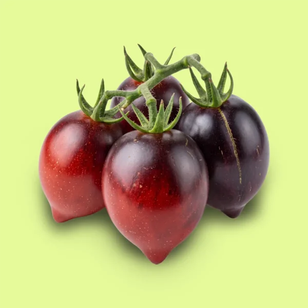 Tomate Picardía de Pascal
