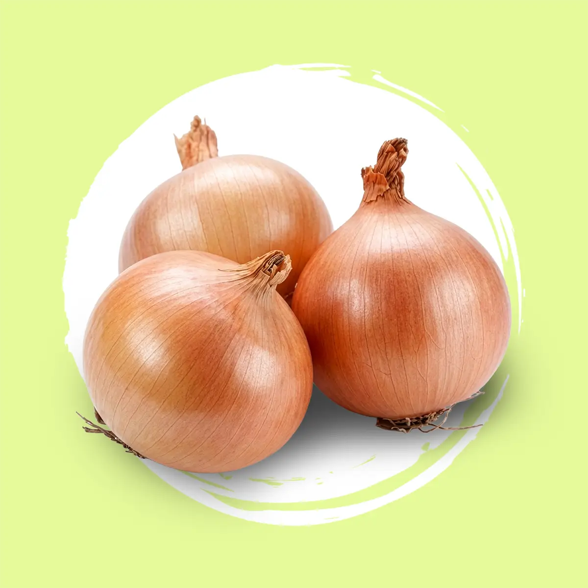 Cebollas